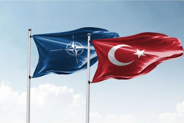 Ukrayna Türkiyədə keçiriləcək NATO sammitində təmsil olunacaq