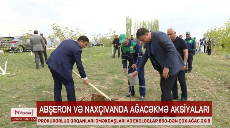 PROKURORLUQ ORQANLARI VƏ ƏMƏKDAŞLARI 800-DƏN ÇOX AĞAC ƏKİB<font color=red> - VİDEO</font>