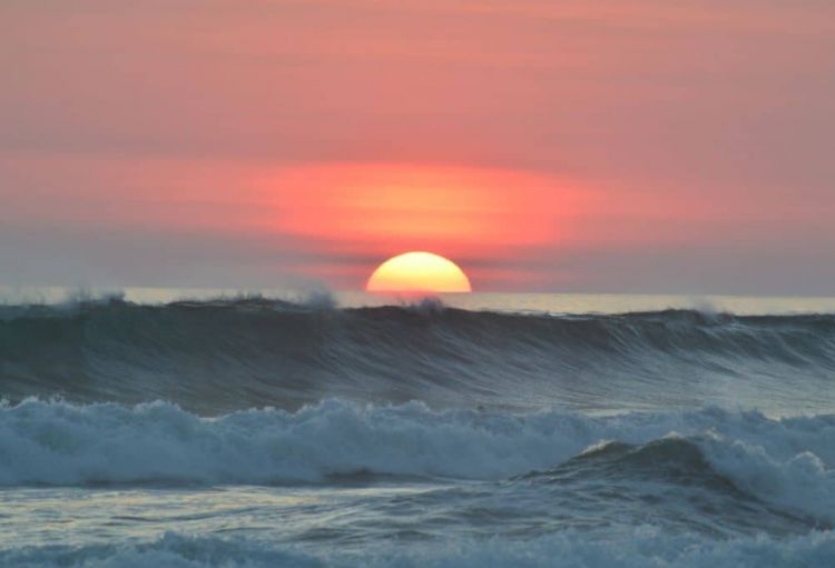 UNEP: Dünya okeanlarının 10 faizi qorunan ərazilər elan edilib