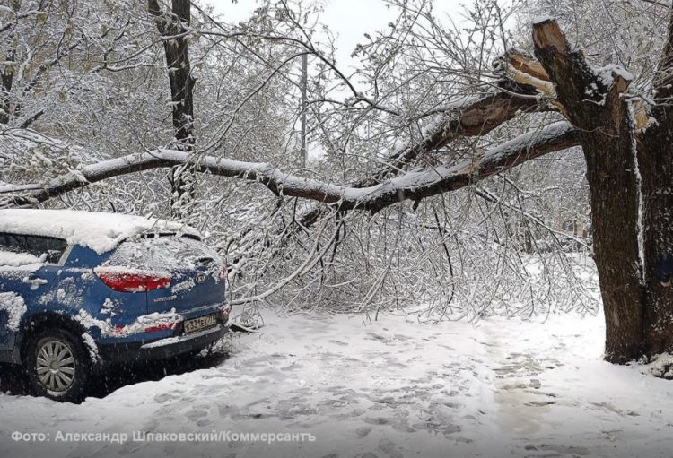 Rusiyada qasırğa: ölən və yaralananlar var