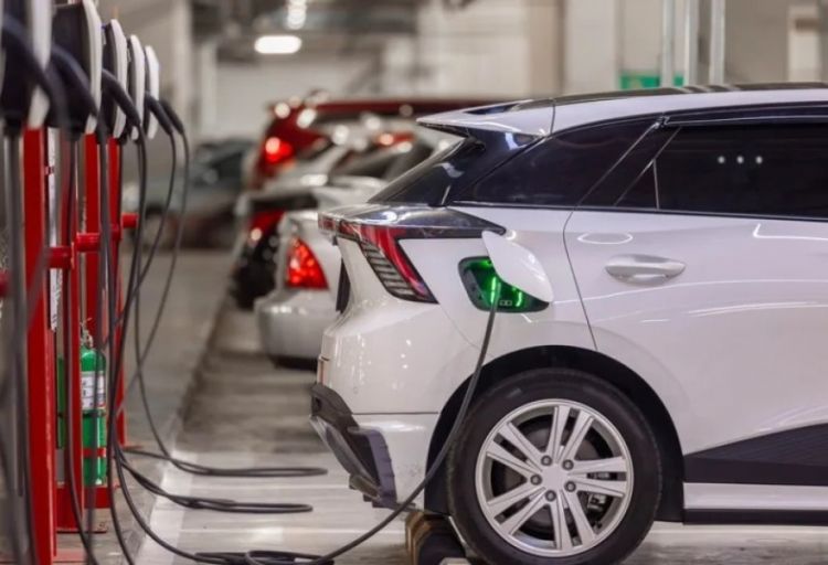 Rumıniya elektromobil bazarında Avropada orta səviyyədədir