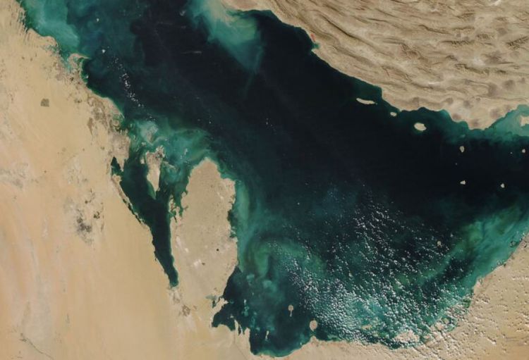 BMT Hörmüz boğazı böhranının nəticələrinin monitorinqini aparacaq