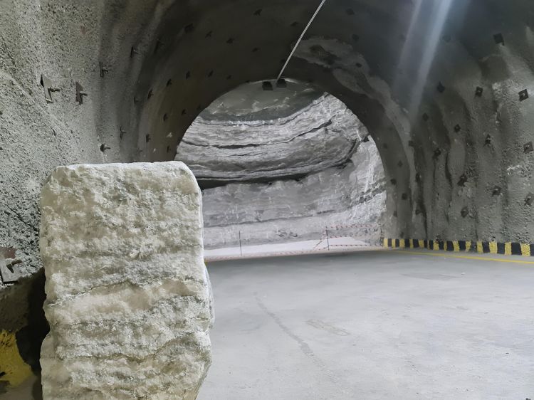 Naxçıvanda daş duzun çıxarılması, emalı və qablaşdırılması istiqamətində fəaliyyət bərpa olunub