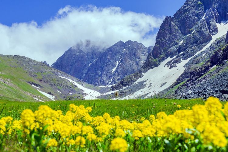 Naxçıvanda may ayının hava proqnozu açıqlanıb
