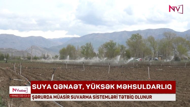 ŞƏRURDA MÜASİR SUVARMA SİSTEMLƏRİ TƏTBİQ OLUNUR<font color=red> - VİDEO</font>