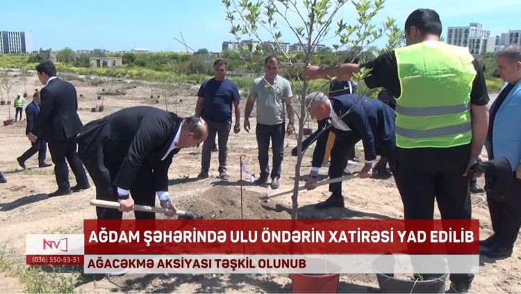 AĞDAM ŞƏHƏRİNDƏ AĞACƏKMƏ AKSİYASI TƏŞKİL OLUNUB<font color=red> - VİDEO</font>