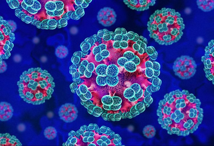 Azərbaycan ərazisində hantavirus infeksiyasına yoluxma halları qeydə alınmayıb