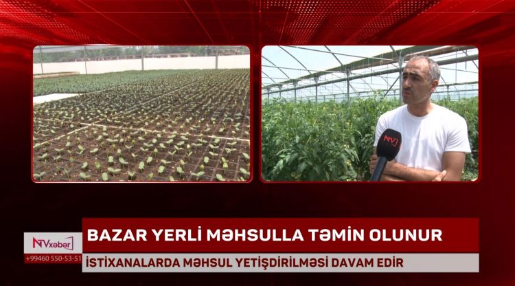 Naxçıvanda bazarlar yerli məhsullarla təmin olunur<font color=red> - VİDEO</font>
