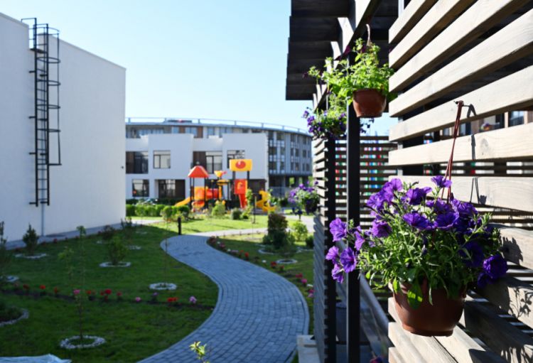 Böyük Qayıdış davam edir: daha 5 ailə Zəngilan şəhərində məskunlaşdı