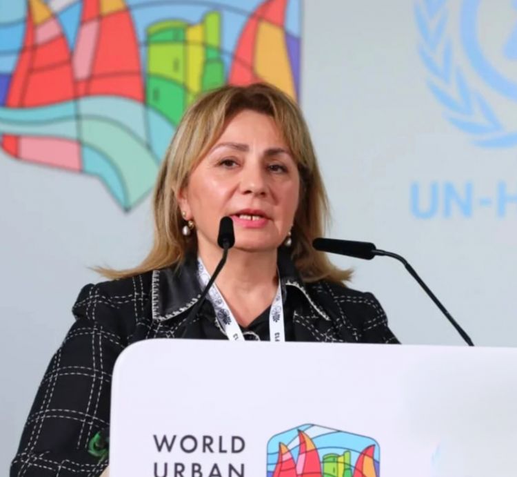 Gülşən Rzayeva: "Yeni Şəhər Gündəliyi milli inkişaf strategiyalarına tam inteqrasiya olunmalıdır"