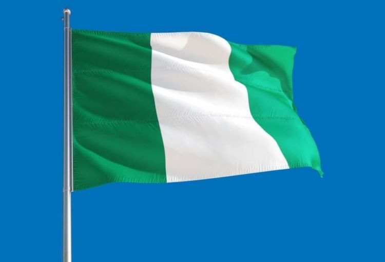 Nigeriyada İŞİD-in 175 silahlısı öldürülüb