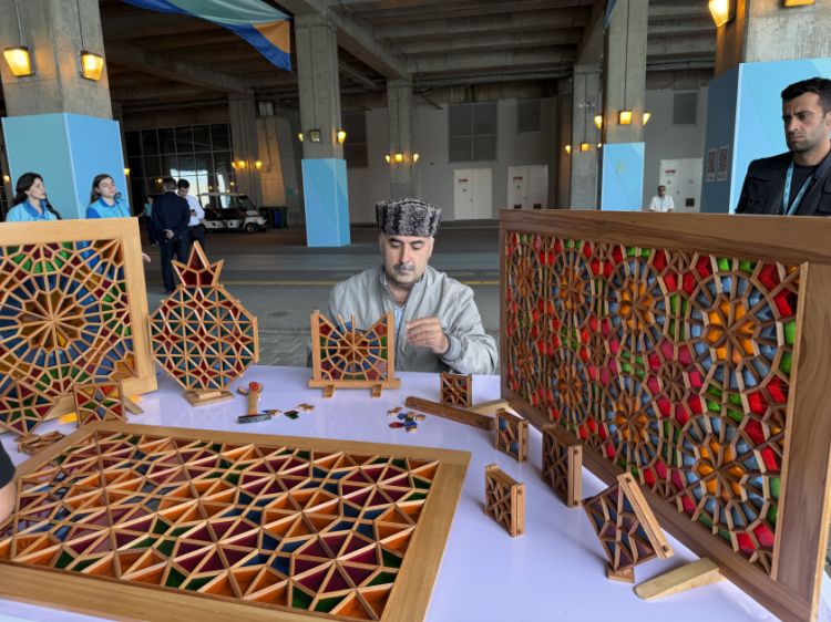Şəbəkə sənəti WUF13 iştirakçılarının marağına səbəb olub
