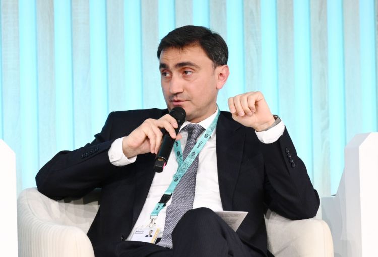 Nazir müavini: Təbiətəsaslı həllər şəhərsalma siyasətinin ayrılmaz hissəsinə çevrilməlidir