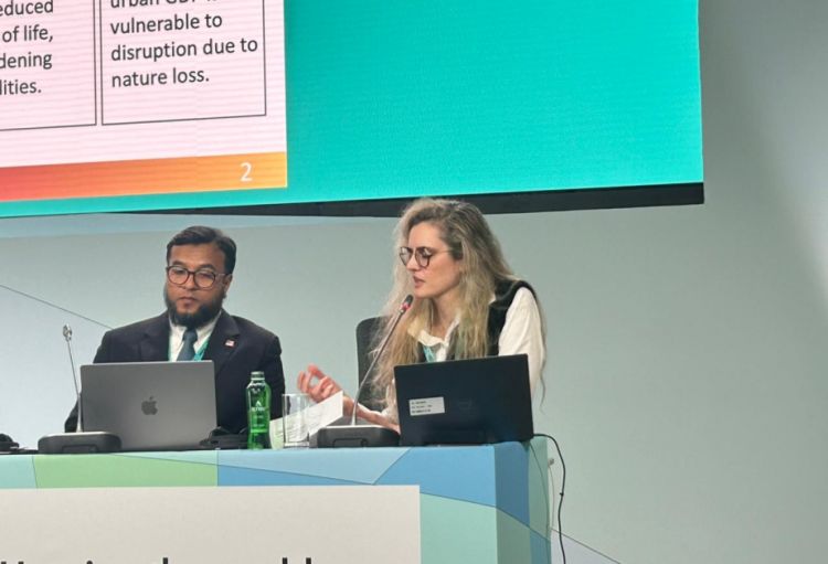 OECD rəsmisi: Dayanıqlı şəhərlər üçün təbiət əsaslı həllərin inteqrasiyası vacibdir