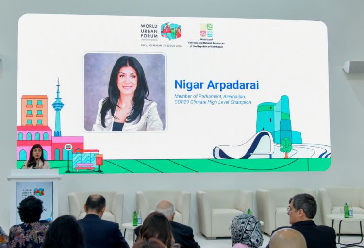 Nigar Arpadarai: Şəhərlər innovasiya laboratoriyalarına çevrilməlidir