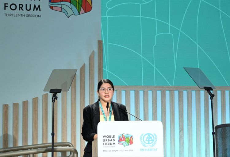 Perunun İctimai Siyasət və Diplomatiya İnstitutunun direktoru: Media təşviq etmək və stimullaşdırmaq üçün vacib aktordur