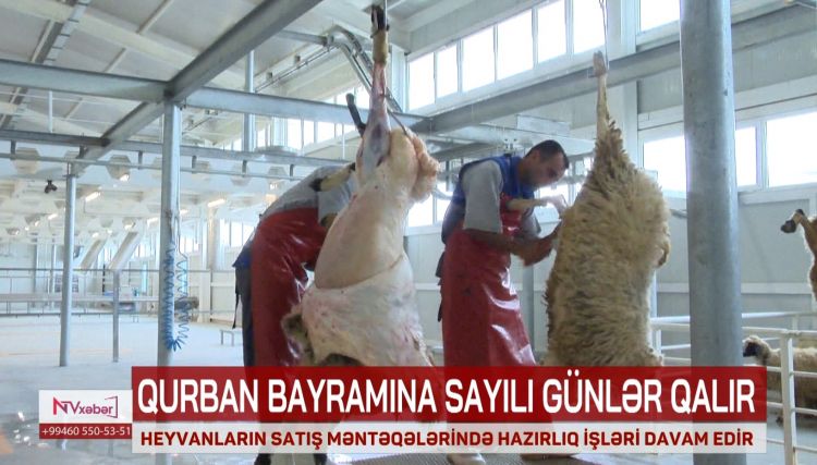 Naxçıvanda Qurban bayramı ilə bağlı hazırlıq işləri davam edir<font color=red> - VİDEO</font>