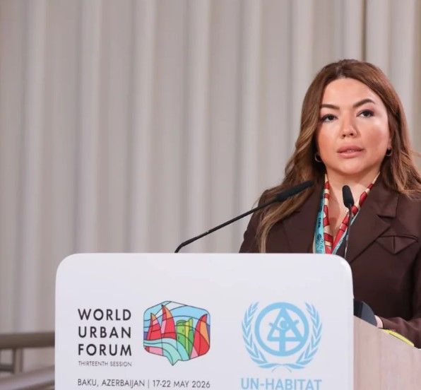 Aygün Əliyeva: QHT-lər cəmiyyətin ekoloji məlumatlılığını artırmağa kömək edir