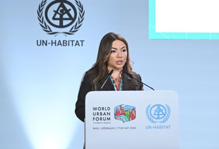 Aygün Əliyeva: Azərbaycanın ilk milli dayanıqlılıq təşəbbüslərinin və davamlı təcrübə standartlarının inkişafı diqqətəlayiqdir