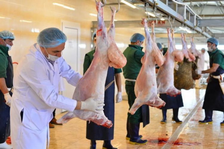 AQTA: Qurban bayramı ilə bağlı təhlükəsiz heyvan kəsimi və satışına nəzarət gücləndirilib