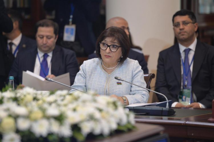 Milli Məclisin sədri Sahibə Qafarova MDB PA-nın Şura iclasında çıxış edib<font color=red> - FOTOLAR</font>