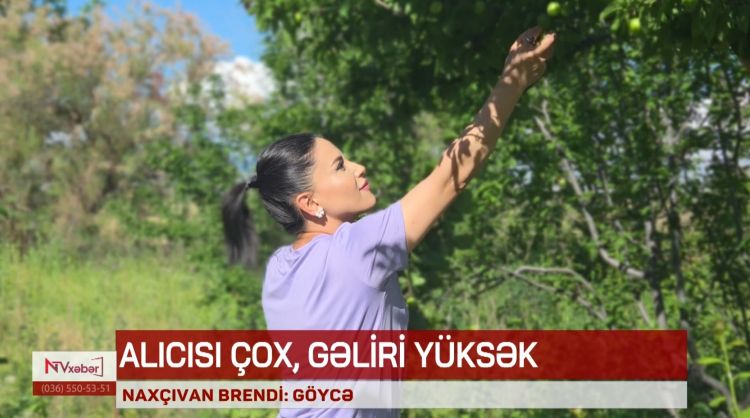Naxçıvan brendi: Göycə<font color=red> - VİDEO</font>