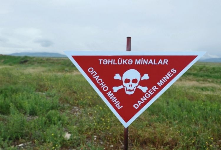 Ötən həftə 2092 hektar ərazi minalardan təmizlənib