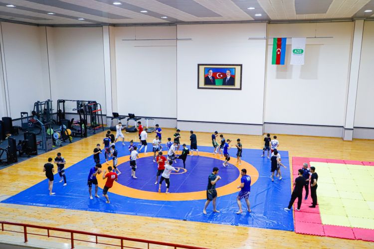 Savat Federasiyasının prezidenti Naxçıvanda seminar keçib<font color=red> - FOTOLAR</font>