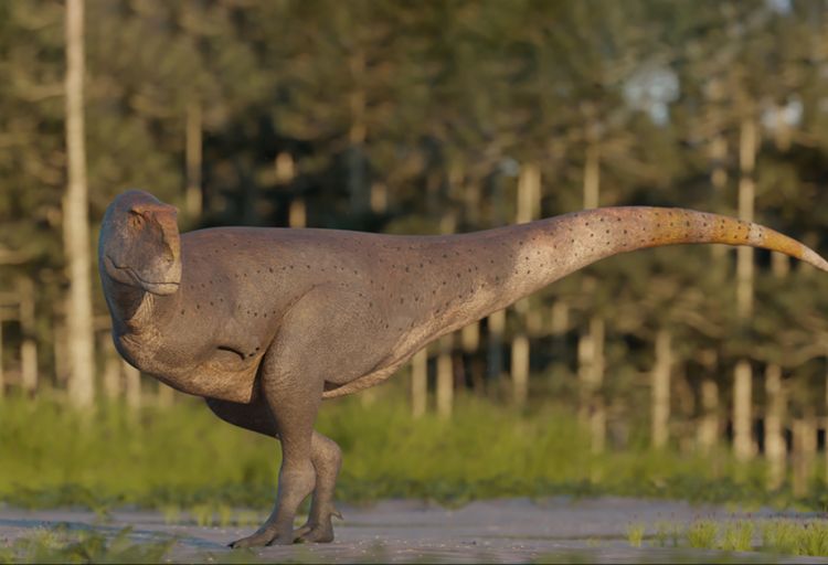 Argentinada vağ quşuna bənzəyən lələkli dinozavrın qalıqları aşkar edilib