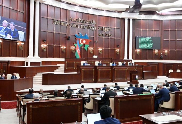Prezidentin Naxçıvan MR-da səlahiyyətli nümayəndəliyi 1-ci kateqoriya dövlət orqanı statusuna malik olacaq