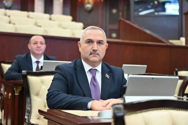 Deputat: Uşaqların rəqəmsal təhlükəsizliyində provayderlərin məsuliyyəti xüsusi əhəmiyyət daşıyır