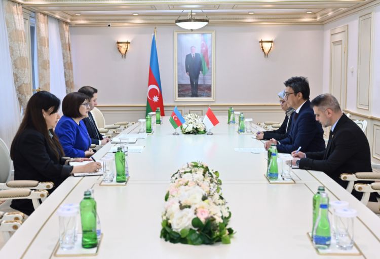 Sahibə Qafarova İndoneziyanın Azərbaycandakı yeni səfiri ilə görüşüb