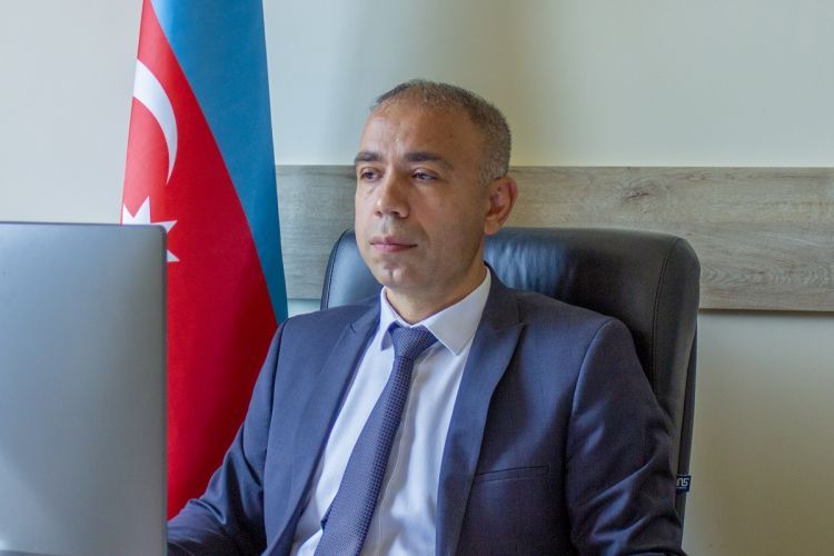 Elnur Soltanov: "Enerji şəbəkəsinin modernləşdirilməsi üçün 500 milyon dollar tələb olunur"