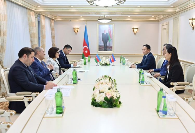 Sahibə Qafarova Kamboca Krallığı Senatının sədr müavini ilə görüşüb
