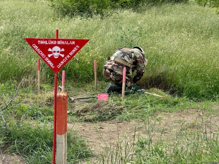 Ötən həftə 1600 hektardan çox ərazi minalardan təmizlənib