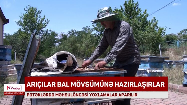 Arıçılar bal mövsümünə hazırlaşırlar<font color=red> - VİDEO</font>