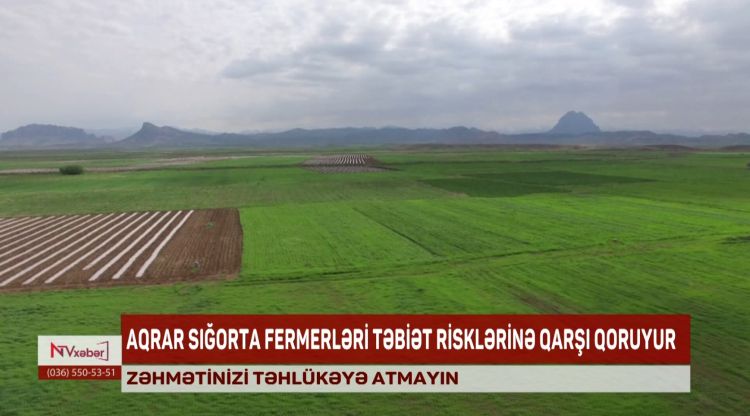 Aqrar Sığorta kənd təsərrüfatını təbii risklərdən sığortalayır<font color=red> - VİDEO</font>