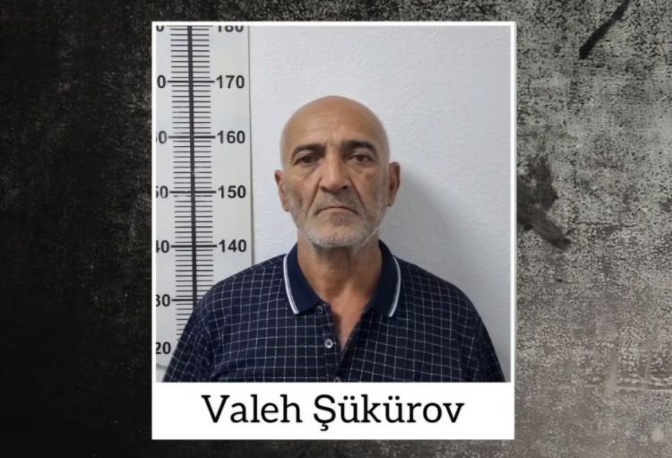 Tərtərdə kultivasiya ilə yetişdirilən 251 ədəd çətənə kolu aşkarlanıb