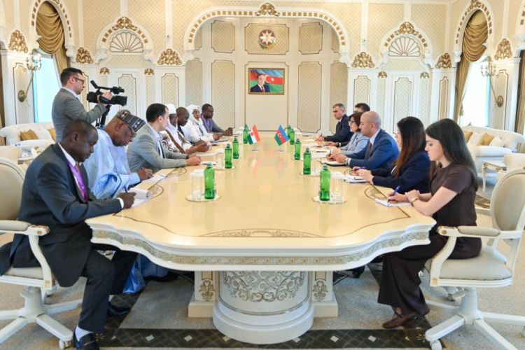 Niger Azərbaycanın enerji sahəsində təcrübəsindən yararlanmaq istəyir<font color=red> - FOTOLAR</font>