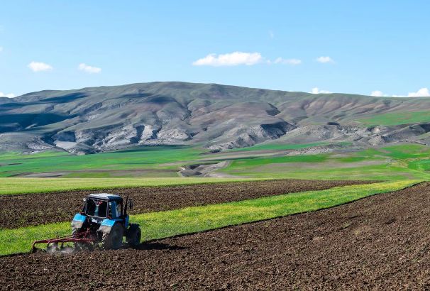 Azərbaycanda aqrar təyinatlı torpaqların konsolidasiyası üçün hüquqi baza yaradılır