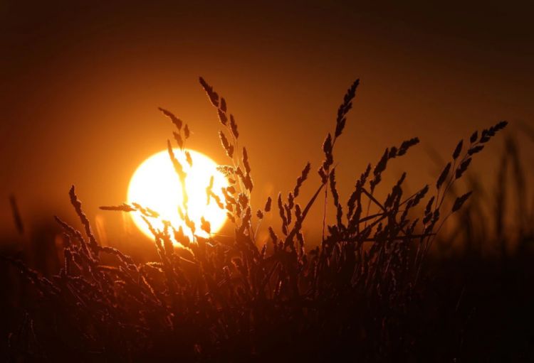 Almaniyada havanın temperaturu üzrə yeni rekord qeydə alınıb