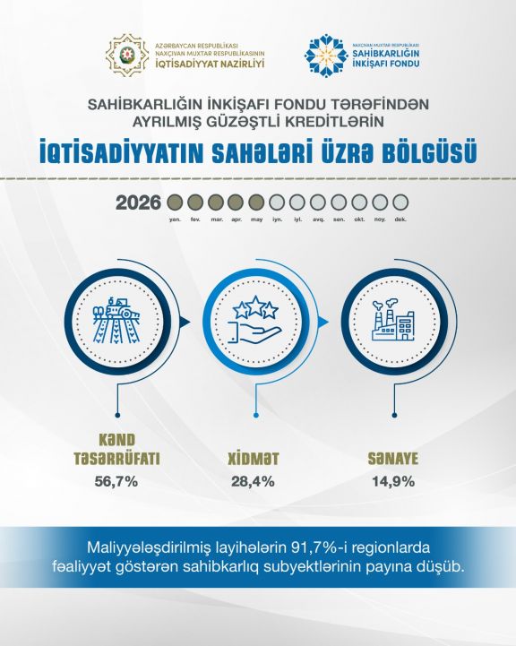 Naxçıvanda maliyyələşdirilmiş layihələrin 91,7 faizi regionların payına düşüb