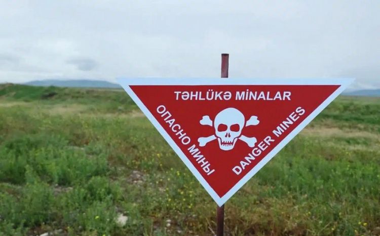 Ötən həftə 1696, 11 hektardan çox ərazi minalardan təmizlənib