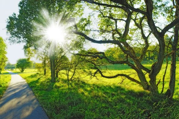 İyunun son günündə 33 dərəcə isti gözlənilir