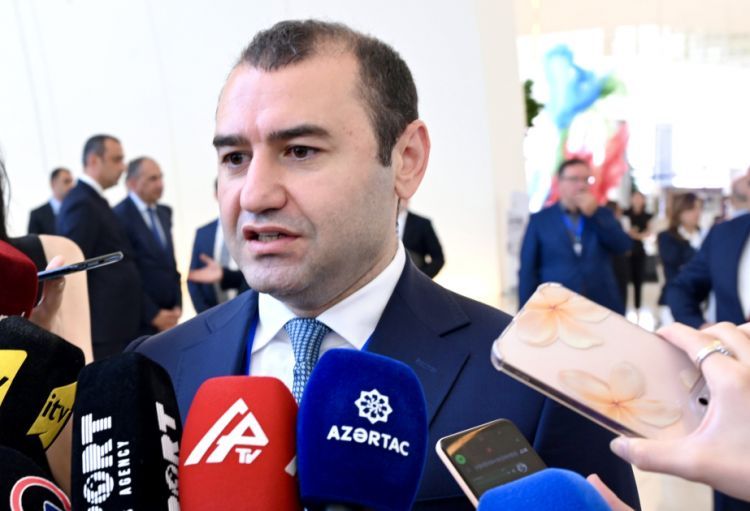Nazir müavini: Türkoloji Qurultayın yubileyi ilə əlaqədar il ərzində 100-ə yaxın tədbirin keçirilməsi nəzərdə tutulur