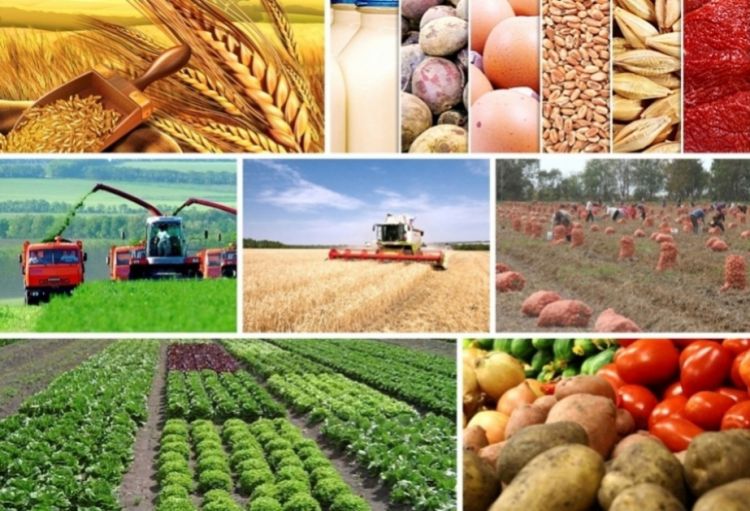 2030-cu ilədək kənd təsərrüfatı üzrə Dövlət Proqramına ayrılacaq vəsait açıqlanıb
