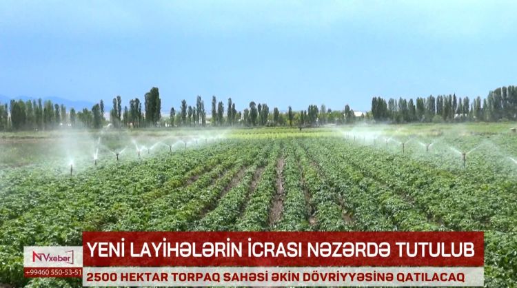Naxçıvanda 2500 hektar torpaq sahəsi əkin dövriyyəsinə qatılacaq<font color=red> - VİDEO</font>
