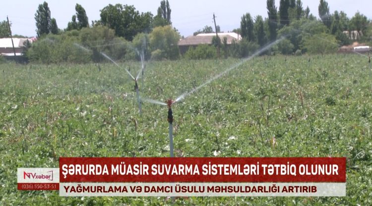 Şərurda müasir suvarma sistemləri tətbiq olunur<font color=red> - VİDEO</font>