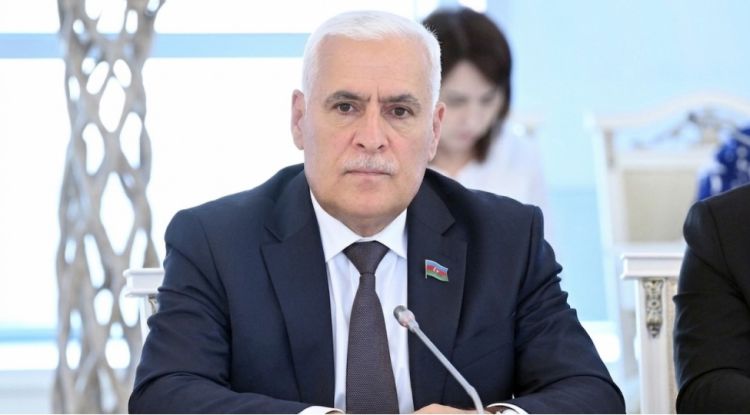 Vüqar Rəhimzadə: Rəqəmsal inkişaf sahəsində strateji baxış vahid idarəetmə modeli çərçivəsində əlaqələndirilir