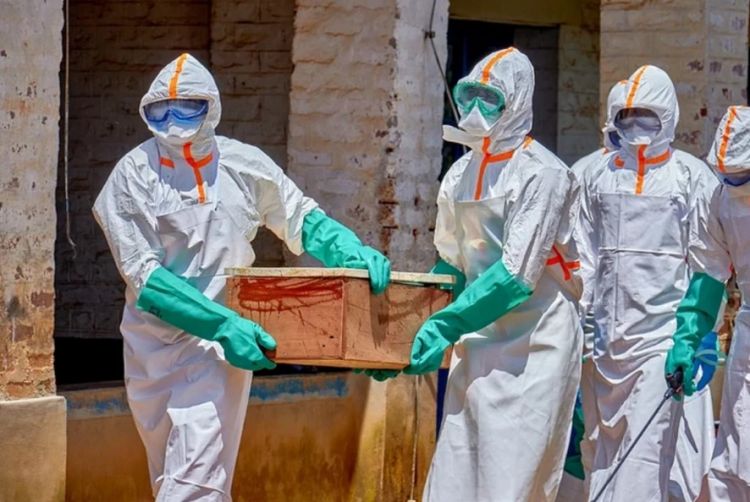 Konqoda Ebola qızdırmasından ölənlərin sayı artır